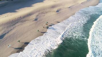 aerial drone of a group of surfers walking along the seashore, summer sports concept video