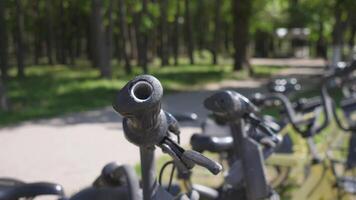 bicicleta alquiler concepto en verano en el parque video