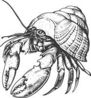 Hermit crab animal with engraving style black color only vector