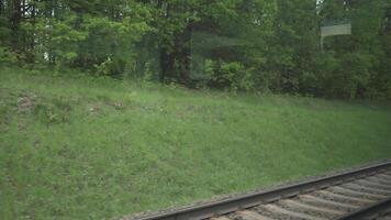 View from the window of a moving train in summer video