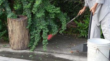 Old Asian woman takes care of plants in the garden of her home. video