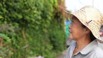 alt asiatisch Frau nimmt Pflege von Pflanzen im das Garten von ihr heim. video