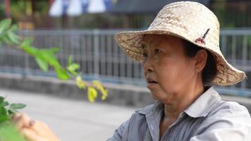 Old Asian woman takes care of plants in the garden of her home. video