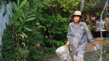 Old Asian woman takes care of plants in the garden of her home. video