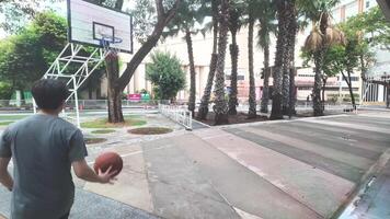 a masculino e fêmea basquetebol jogadoras prática usando a bola dentro a parque quadra diligentemente e Felizmente. video