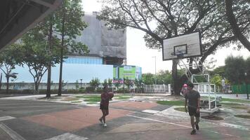 a masculino e fêmea basquetebol jogadoras prática usando a bola dentro a parque quadra diligentemente e Felizmente. video