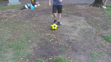 masculino y hembra fútbol jugadores práctica utilizando el pelota en el parque campo diligentemente y felizmente. video