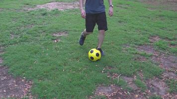 Male and female soccer players practice using the ball in the park field diligently and happily. video