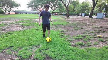 homme en jouant Football dans parc champ video