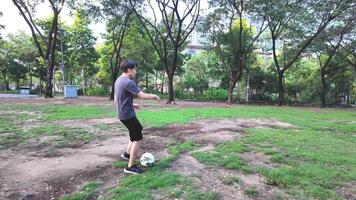 homem jogando futebol dentro parque campo video