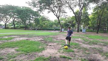uomo giocando calcio nel parco campo video
