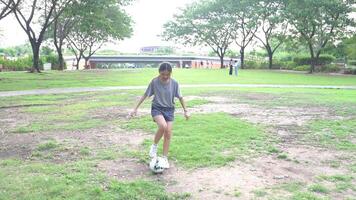donna giocando calcio nel parco campo video