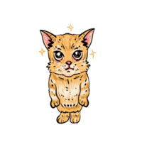 linda gatos meme ilustraciones png