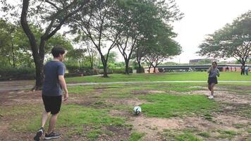 mannetje en vrouw voetbal spelers praktijk gebruik makend van de bal in de park veld- ijverig en gelukkig. video