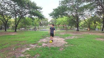 Mens spelen Amerikaans voetbal in park veld- video