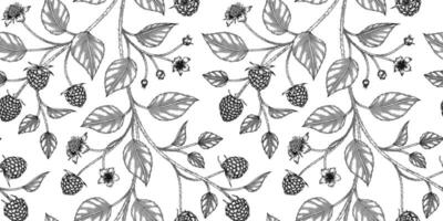 raspberry fruit pattern black and white illustration vector