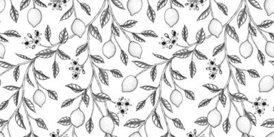 lemon pattern black and white illustration vector