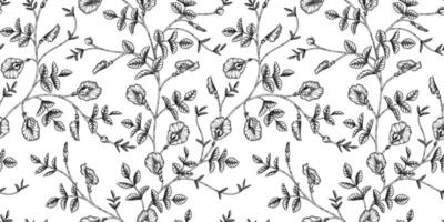 Butterfly pea floral pattern black and white illustration vector