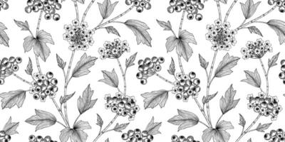 Cranberry pattern black and white illustration vector