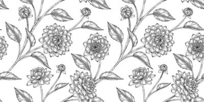 Dahlia floral pattern black and white illustration vector