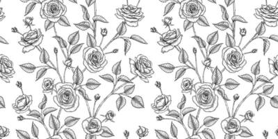 Rose floral pattern black and white illustration vector