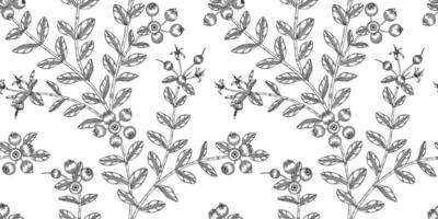 Cranberry pattern black and white illustration vector