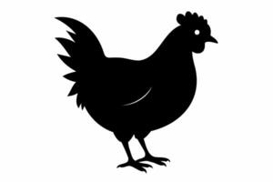 silueta de un gallo con detallado plumas. negro pollo en lado vista. rural vida, granja animal, pájaro ilustración, ganado concepto. negro silueta aislado en blanco antecedentes. vector