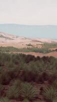 Mohave-Wüstenlandschaft mit blauem bewölktem Himmel video