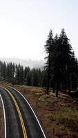 Aerial view on a winding road in summer day video