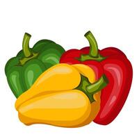 Color bell peppers, paprika, vegetable, healthy food. Bell peppers in cartoon style. Graphic element for fabric, textile, clothing, wrapping paper, wallpaper, poster. Illustration vector