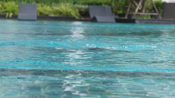 Asian men practicing swimming and preparing to play water polo and stretching and resting for water sports. video