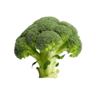 Raw Healthy Green Broccoli Florets. Isolated on Background png