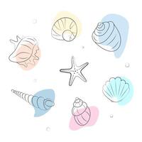 Set of seashells in boho style. Doodle marine life. Hand drawn illustration isolated on white background vector