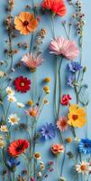 Colorful Wildflowers Arranged Against A Light Blue Background photo
