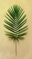 Single Palm Leaf on a Yellow Background photo