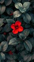 Single Red Flower Amidst Lush Green Foliage photo