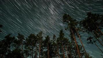 Time lapse of comet-shaped star trails over the forest in the night sky. Stars move around a polar star. Ultra 4K video