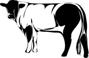 The illustrations and clipart. A black-and-white silhouette of a cow vector