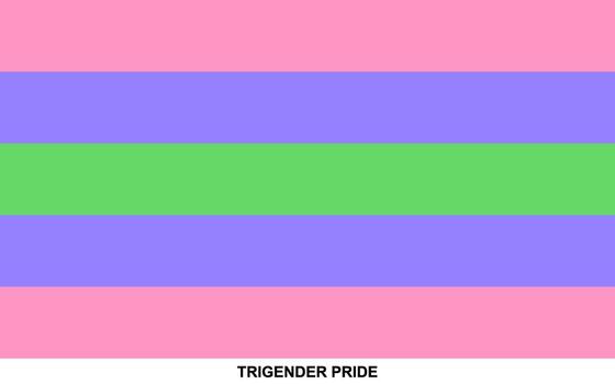 bandera de trigender orgullo, trigender orgullo bandera vector