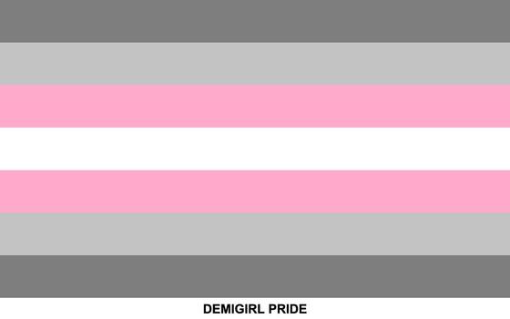 bandera de demigirl orgullo, demigirl orgullo bandera vector