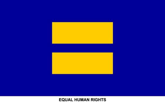 bandera de igual humano derechos , igual humano derechos bandera vector