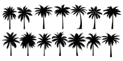 Black palm trees set isolated on white background. Palm silhouettes. vector