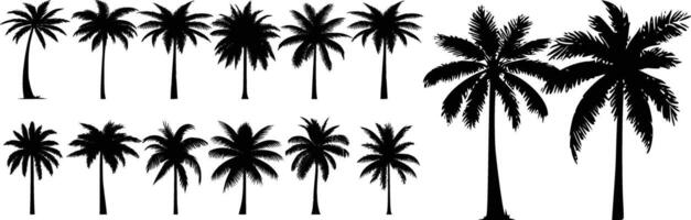 set of silhouettes of palm trees vector