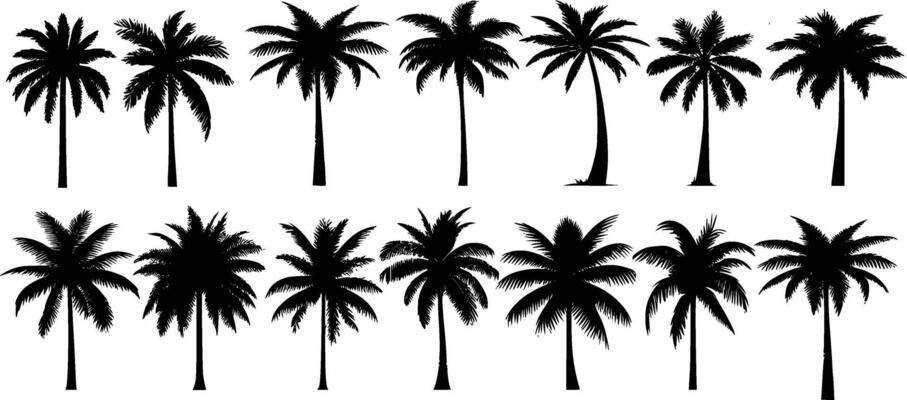 Tropical palm trees set silhouettes