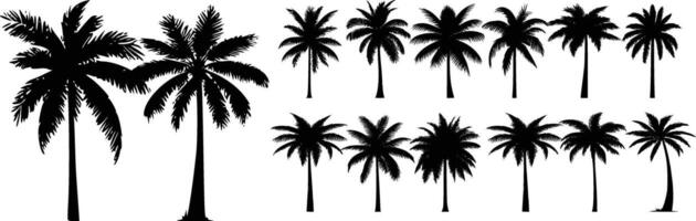 set of silhouettes of palm trees vector