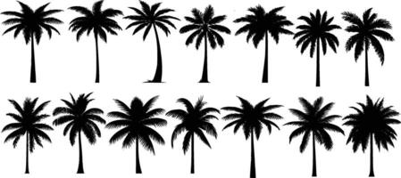 set of silhouettes of palm trees vector