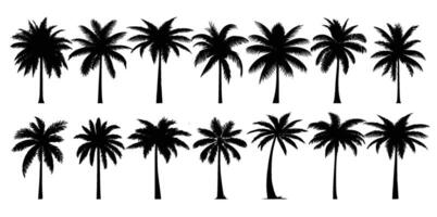 Black palm trees set isolated on white background. Palm silhouettes. vector