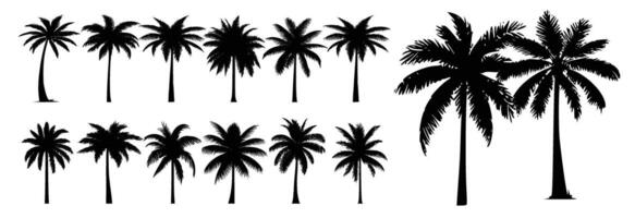set of silhouettes of palm trees vector