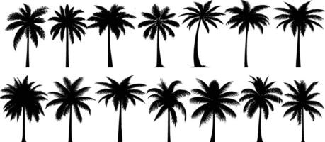 Set of silhouettes of palm trees vector