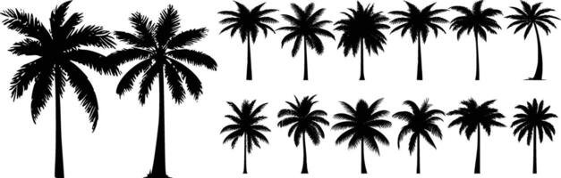 Black palm trees set isolated on white background. Palm silhouettes. vector